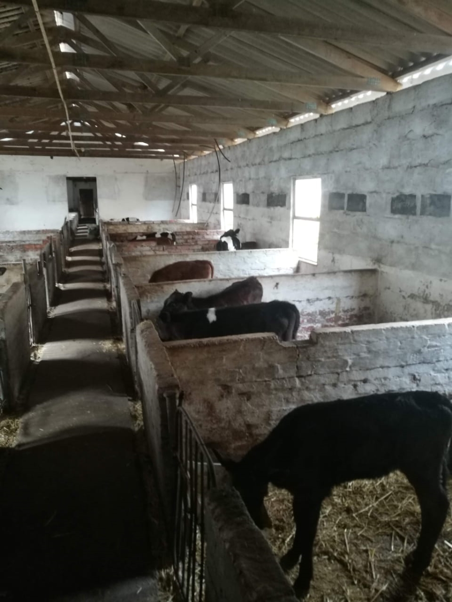  Bedroom Property for Sale in Riversdale Rural Western Cape